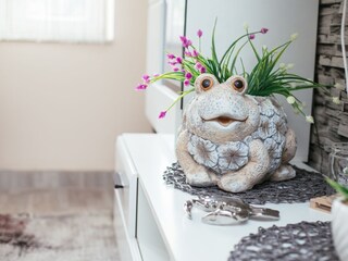 Ferienhaus Žman  10