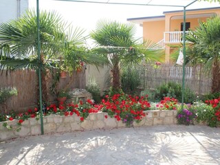 Apartment Pirovac  8