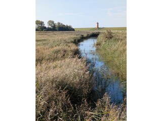 Pilsumer Leuchtturm aus dem Vogelschutzgebiet Leyhörn