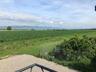 Holiday house Rouffach Environment 12