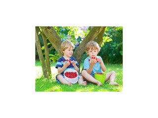 Maison de vacances Darlowo Enregistrement extérieur 17