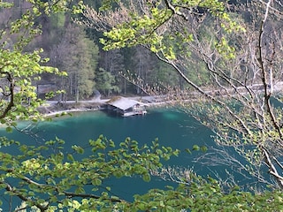 wanderung um den Alpsee