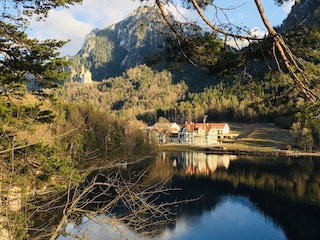 am Alpsee