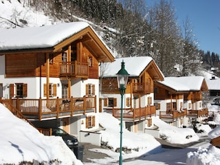 Ferienpark Wald im Pinzgau Außenaufnahme 3