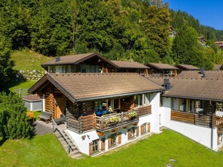 Ferienpark Wald im Pinzgau Außenaufnahme 4