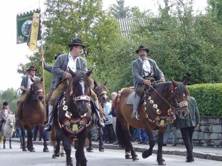 Vakantiepark Wald im Pinzgau Omgeving 24