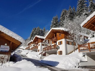 Holiday park Wald im Pinzgau Outdoor Recording 9