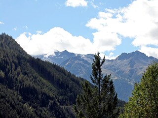 Parc de vacances Wald im Pinzgau Environnement 28