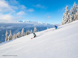 Holiday park Wald im Pinzgau Environment 10