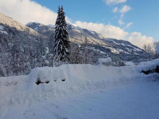 Parc de vacances Wald im Pinzgau Environnement 42