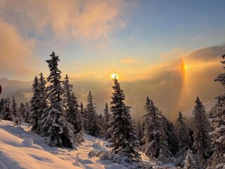 Holiday park Wald im Pinzgau Environment 46