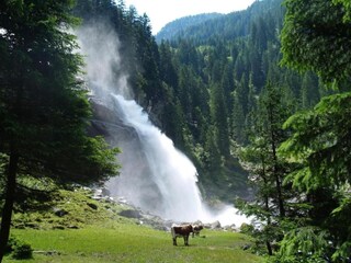 Parc de vacances Wald im Pinzgau Environnement 50