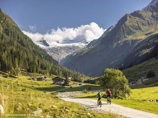 Parc de vacances Wald im Pinzgau Environnement 57