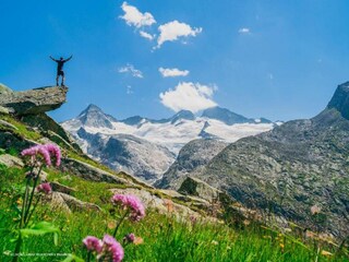 Parc de vacances Wald im Pinzgau Environnement 66