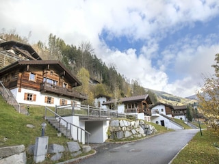 Ferienpark Wald im Pinzgau Umgebung 28