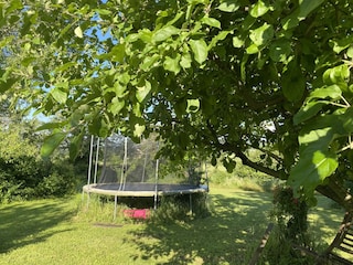 Ferienhaus La Laupie Außenaufnahme 17