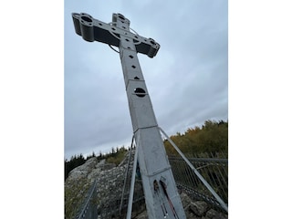Kreuz im Venn