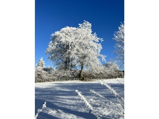 Winterimpressionen