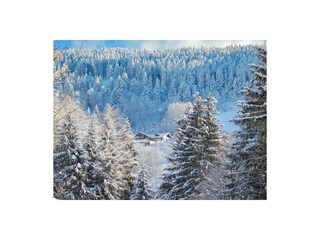 Holiday house Cornimont  44