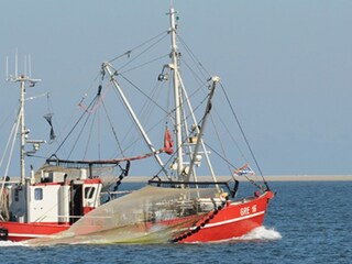 Kutter beim Krabbenfang