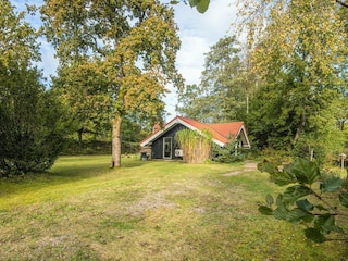 Ferienhaus Silkeborg  20