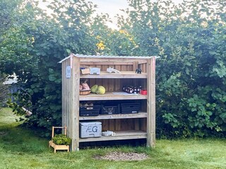 Holiday house Trend  41