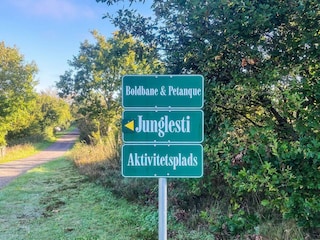 Vakantiehuis Trend  36