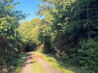 Vakantiehuis Trend  32