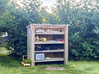 Vakantiehuis Trend  35