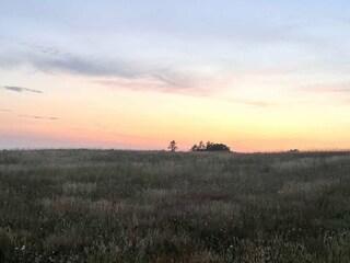 Holiday house Trend  36