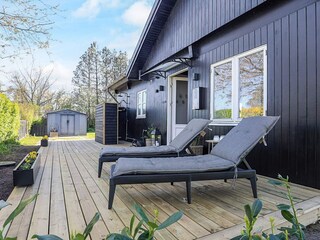 Holiday house Trend  18