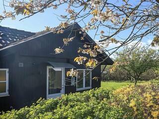 Holiday house Trend  24