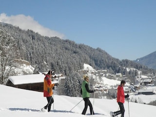 Holiday park Wald im Pinzgau Environment 38