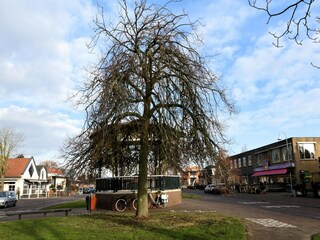 Vakantiehuis Julianadorp Omgeving 3