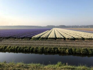 Vakantiehuis Julianadorp Omgeving 5