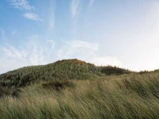 Vakantiehuis Julianadorp  40