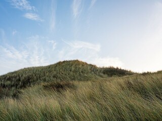 Holiday house Julianadorp  39