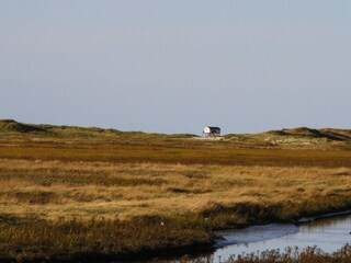 Casa per le vacanze St. Peter-Ording Ambiente 18