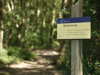 Ferienpark Groesbeek Umgebung 31