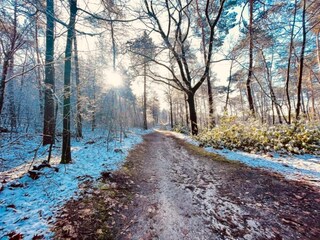 Vakantiepark Groesbeek Omgeving 26