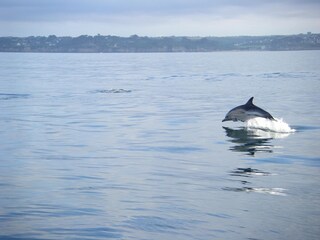 Casa de vacaciones Le Conquet  36