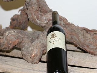 Holiday house Le Plan-de-la-Tour  26