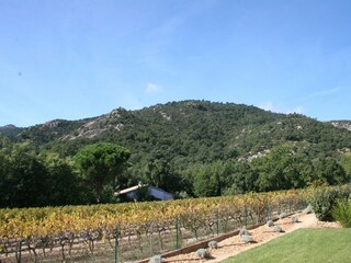 Casa per le vacanze Le Plan-de-la-Tour Registrazione all'aperto 6