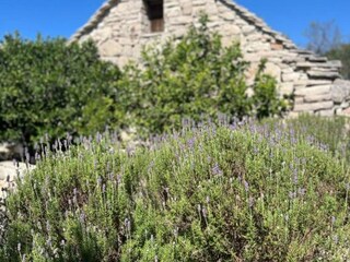 Vakantiehuis Drvenik Veli Buitenaudio-opname 4