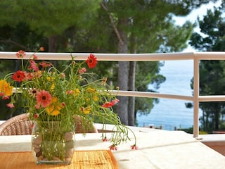 Apartamento Zavala Grabación al aire libre 3