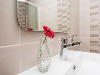 Villa Galovac Características 57