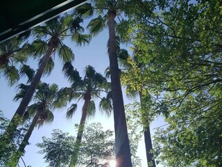 Apartamento Split (Stadt) Grabación al aire libre 21