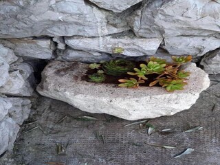 Casa de vacaciones Turanj  38