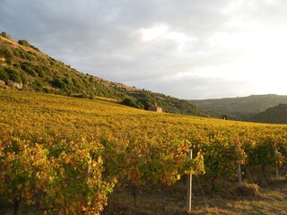 Casa de vacaciones Sa Lumenera Entorno 32