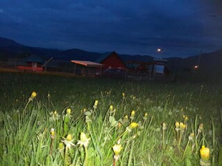 Apartment Kolašin Außenaufnahme 5